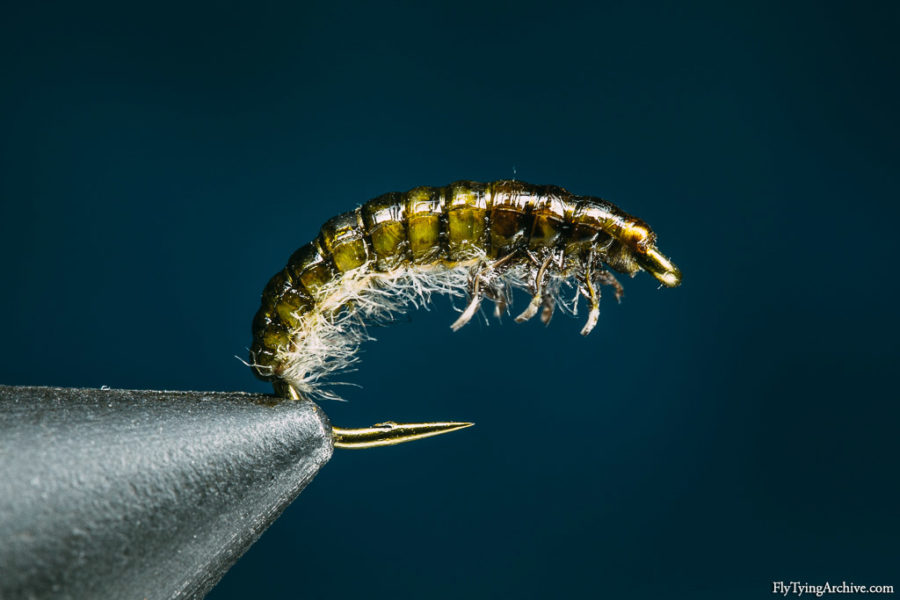 Fly Tying Archive Oliver Edwards Hydropsyche Caddis Larvae Variation