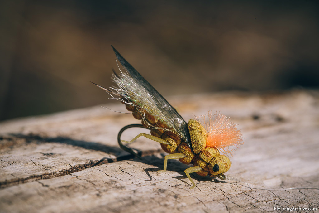 Semi-realistic Golden Stonefly Dry Fly – Fly Tying Archive