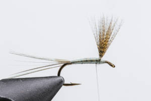Quill Gordon – Fly Tying Archive