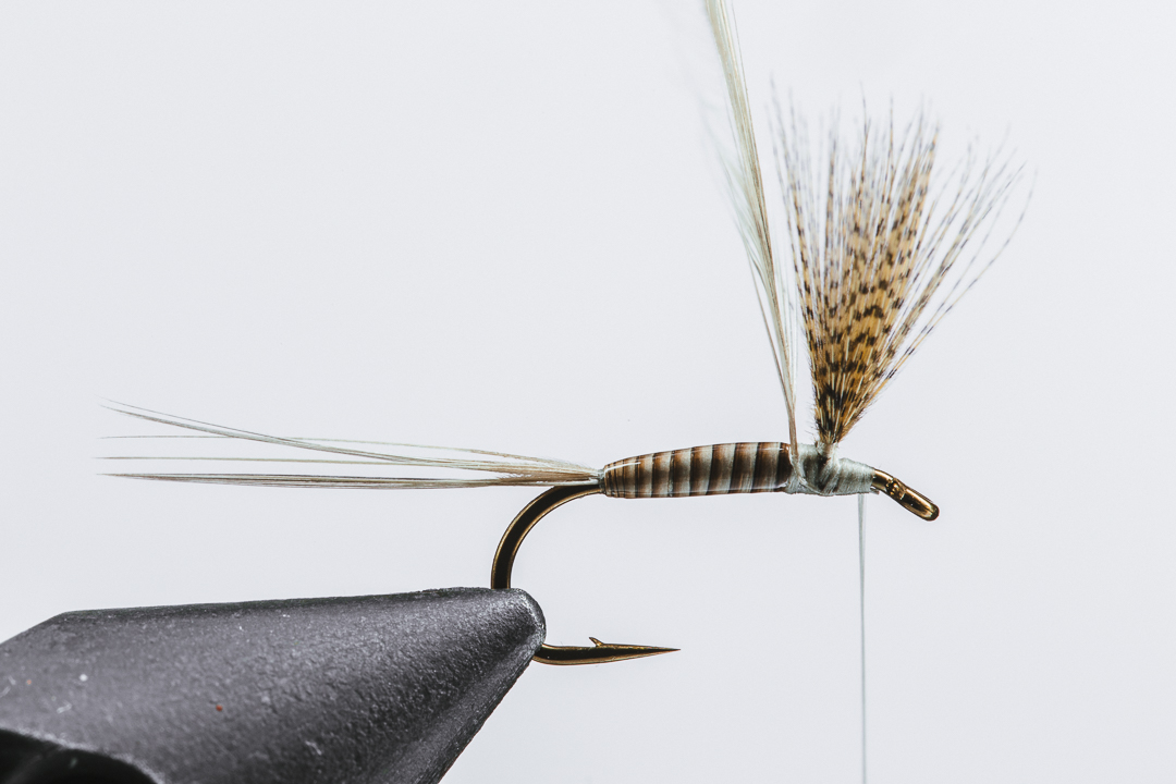 Mustad Fishing - Size 12 Quill Gordon dry fly tied on a vintage
